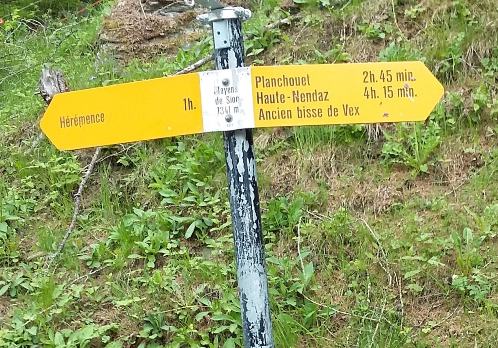 Randonnées 1.jpg